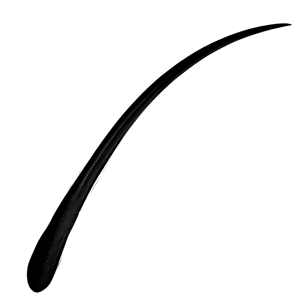Delineador Líquido Black